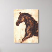Profil du cheval sauvage Brown