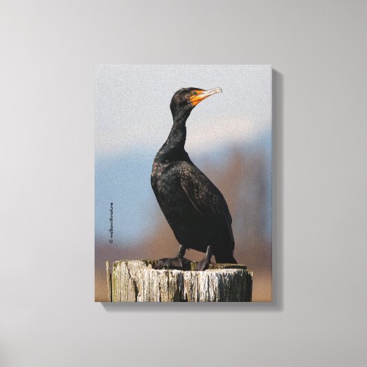 Toile Profil d'un cormoran à aigrettes (Recto)