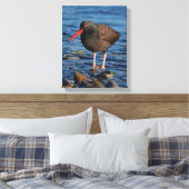 Toile Profil d'un Oystercatcher noir (Insitu(Chambre))