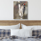 Toile Profil d'un Pic mineur mâle (Insitu(Chambre))
