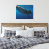 Toile Profil d'un requin baleine, Indonésie (Insitu(Chambre))