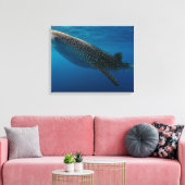 Toile Profil d'un requin baleine, Indonésie (Insitu(Salon))