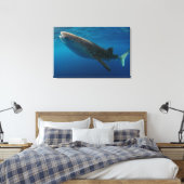 Toile Profil d'un requin baleine, Indonésie (Insitu(Chambre))