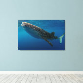 Toile Profil d'un requin baleine, Indonésie (Insitu (Plancher de Bois))