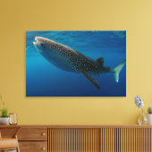 Toile Profil d'un requin baleine, Indonésie (Insitu(Salon))