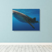 Toile Profil d'un requin baleine, Indonésie (Insitu (Plancher de Bois))
