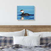 Toile Profil d'une Grebe à cornes (Insitu(Chambre))