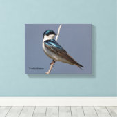 Toile Profil d'une hirondelle d'arbre mâle dans le solei (Insitu (Plancher de Bois))