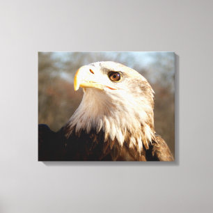Toile Profil majestueux de l'aigle à tête blanche