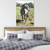 Toile Profil photo d'Appaloosa (Insitu(Chambre))