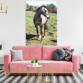 Toile Profil photo d'Appaloosa (Insitu(Salon))