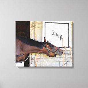 Toile Programme-cadre