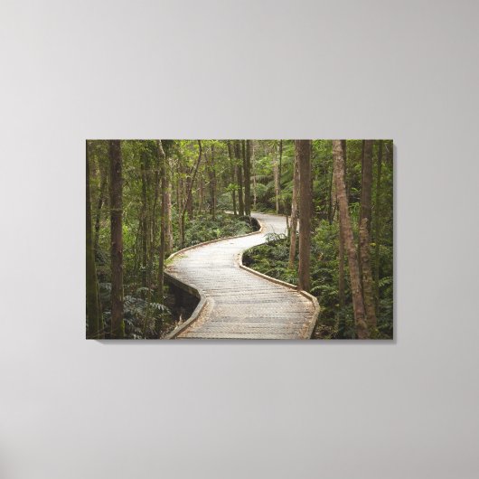 Toile Promenade à Nelson Falls, Franklin - Gordon (Recto)