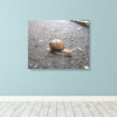 Toile Promenade de Snail (Insitu (Plancher de Bois))