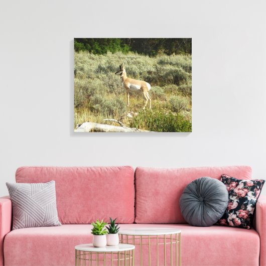 Toile Pronghorn au Parc national de Grand Teton (Insitu(Salon))