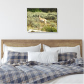 Toile Pronghorn au Parc national de Grand Teton (Insitu(Chambre))