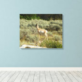 Toile Pronghorn au Parc national de Grand Teton (Insitu (Plancher de Bois))