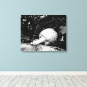 Toile protecteur sombre (Insitu (Plancher de Bois))