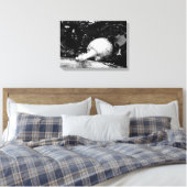 Toile protecteur sombre (Insitu(Chambre))
