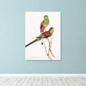 Toile Psephotus Pulcherrimus (Insitu (Plancher de Bois))