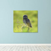 Toile Pueo hawaïen (Insitu (Plancher de Bois))