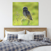 Toile Pueo hawaïen (Insitu(Chambre))