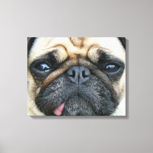Toile Pug puppy (Recto)