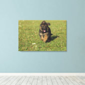 Toile Puppy en cours (Insitu (Plancher de Bois))
