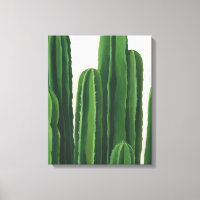 Pura Vida - Groupe Cactus