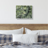 Toile Pure Manzanita (Insitu(Chambre))