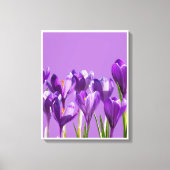 Toile Purple Crocus Awakening (Recto)