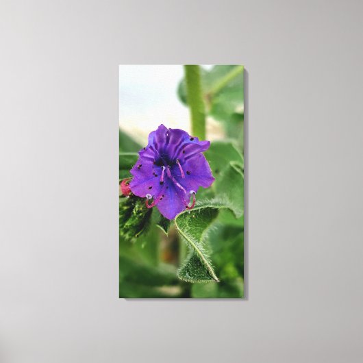 Toile Purple flower spring flora collection (Recto)