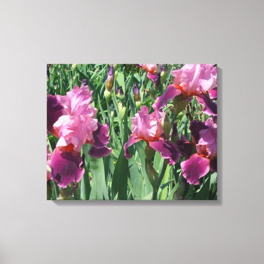 Toile Purple Irises Printemps Floral (Recto)