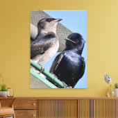Toile Purple Martin Mates (Insitu(Salon))