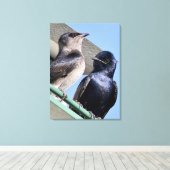 Toile Purple Martin Mates (Insitu (Plancher de Bois))