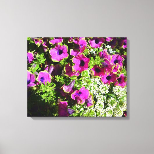 Toile Purple Petunias (Recto)