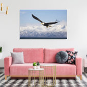 Toile Pygargue à tête blanche en vol, Haliaeetus leucoce (Insitu(Salon))