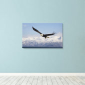 Toile Pygargue à tête blanche en vol, Haliaeetus leucoce (Insitu (Plancher de Bois))