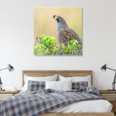 Toile Quail de Californie (Insitu(Chambre))