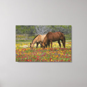 Toile Quarter Horse dans un champ de fleurs sauvages prè