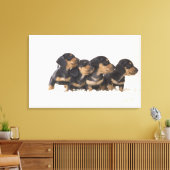 Toile Quatre Mini Dachshund (Insitu(Salon))