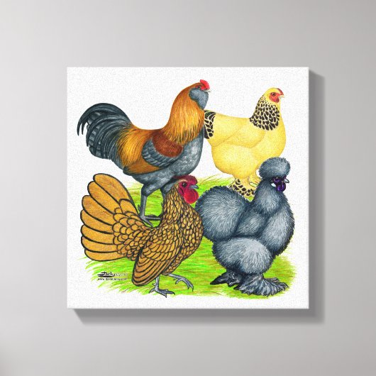 Toile Quatuor Bantam (Recto)