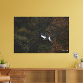 Toile Queen of the Forest - Steller's sea eagle (Insitu(Salon))