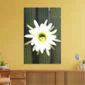 Toile Queen Of The Night Cactus Flower, région de Karoo (Insitu(Salon))
