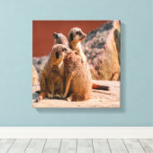 Toile Qu'est-ce que Meerkats (Insitu (Plancher de Bois))