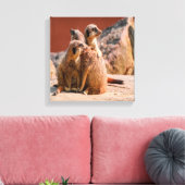 Toile Qu'est-ce que Meerkats (Insitu(Salon))