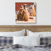 Toile Qu'est-ce que Meerkats (Insitu(Chambre))