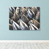 Toile Queues de canard de colard (Insitu (Plancher de Bois))