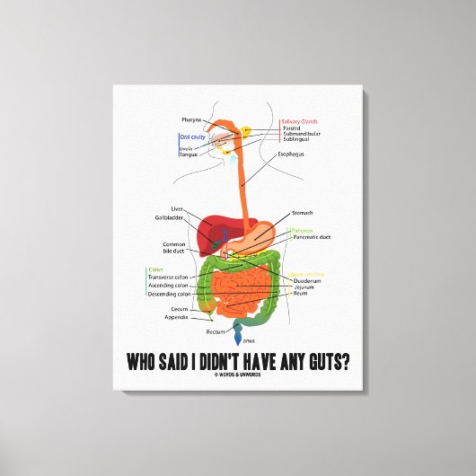 Toile Qui A Dit Que Je N'Avais Pas De Coups ? Système di (Recto)