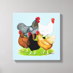 Toile Quintette de poulet liée au sexe